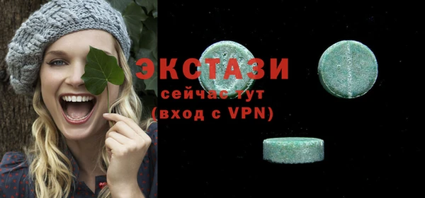 гашик Няндома