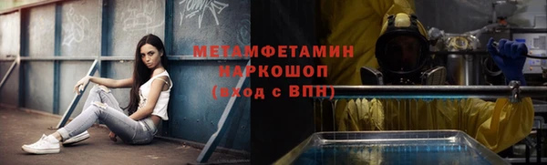 гашик Няндома