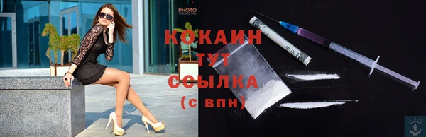 гашик Няндома