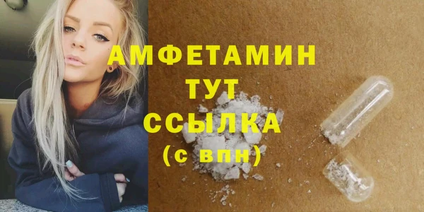 гашик Няндома