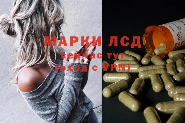 гашик Няндома