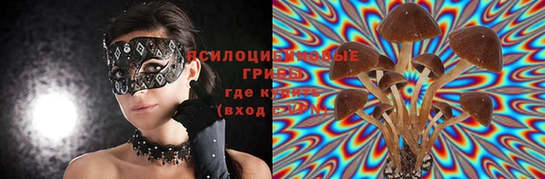 соль ск Нягань