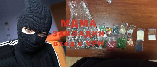 гашик Няндома