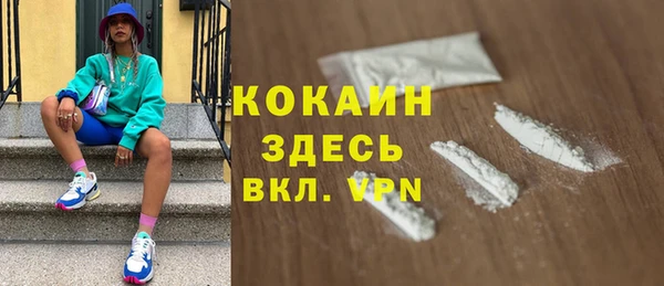 гашик Няндома